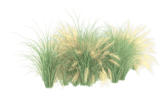 Realistic foliage isolated on transparent background. 3d rendering - illustration png