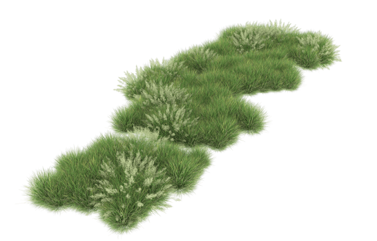 Realistic foliage isolated on transparent background. 3d rendering - illustration png