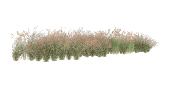 Realistic foliage isolated on transparent background. 3d rendering - illustration png