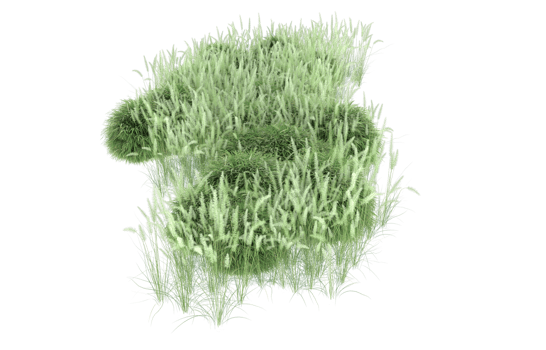Realistic foliage isolated on transparent background. 3d rendering - illustration png