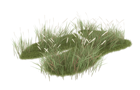Realistic foliage isolated on transparent background. 3d rendering - illustration png