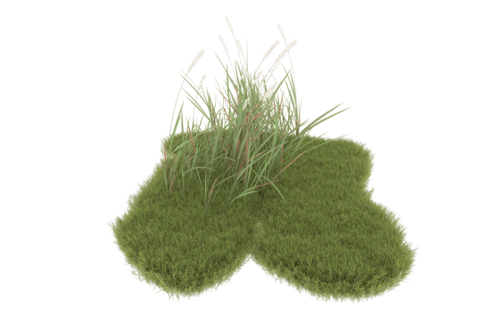 Realistic foliage isolated on transparent background. 3d rendering - illustration png