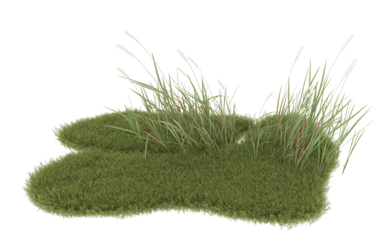 Realistic foliage isolated on transparent background. 3d rendering - illustration png