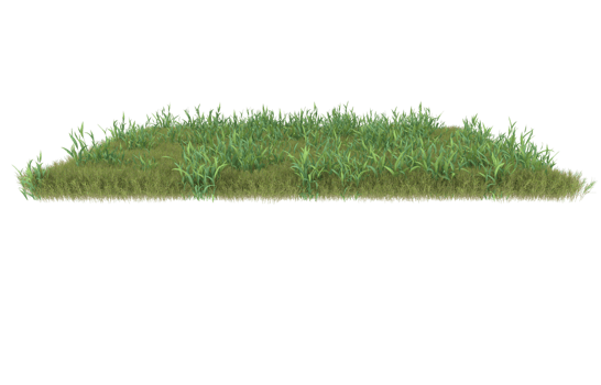 Realistic foliage isolated on transparent background. 3d rendering - illustration png
