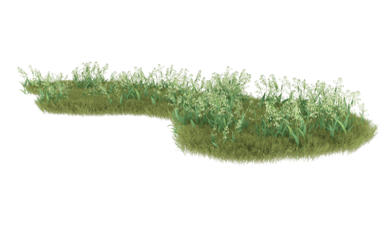 Realistic foliage isolated on transparent background. 3d rendering - illustration png