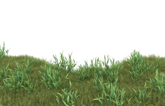 Realistic foliage isolated on transparent background. 3d rendering - illustration png
