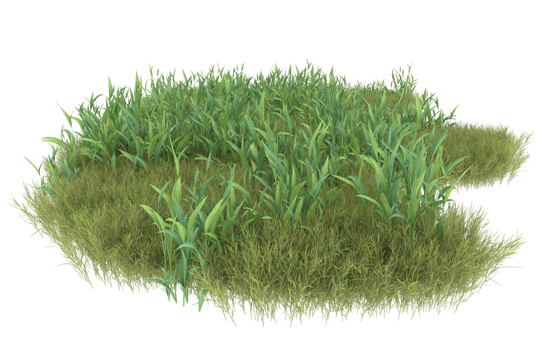 Realistic foliage isolated on transparent background. 3d rendering - illustration png