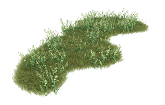 Realistic foliage isolated on transparent background. 3d rendering - illustration png