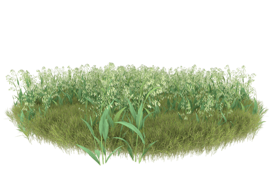 Realistic foliage isolated on transparent background. 3d rendering - illustration png