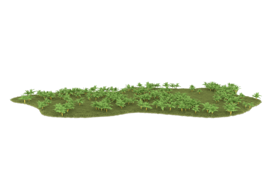 Realistic foliage isolated on transparent background. 3d rendering - illustration png