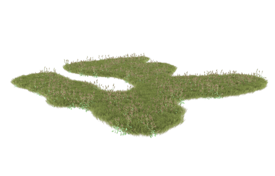 Realistic foliage isolated on transparent background. 3d rendering - illustration png