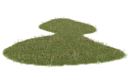 Realistic foliage isolated on transparent background. 3d rendering - illustration png