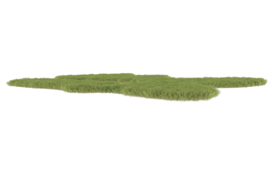 Realistic foliage isolated on transparent background. 3d rendering - illustration png