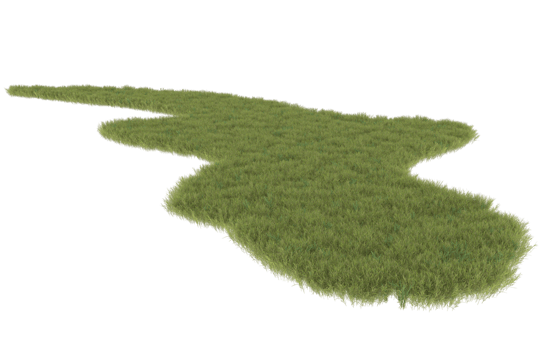 Realistic foliage isolated on transparent background. 3d rendering - illustration png