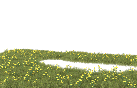 Realistic foliage isolated on transparent background. 3d rendering - illustration png