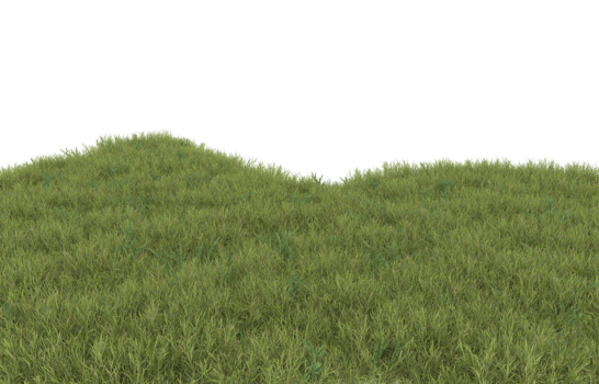 Realistic foliage isolated on transparent background. 3d rendering - illustration png