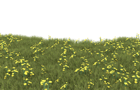 Realistic foliage isolated on transparent background. 3d rendering - illustration png