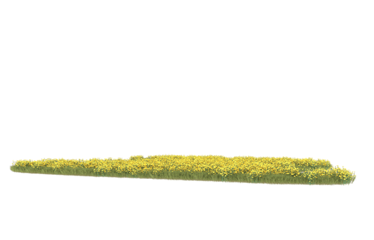 Realistic foliage isolated on transparent background. 3d rendering - illustration png