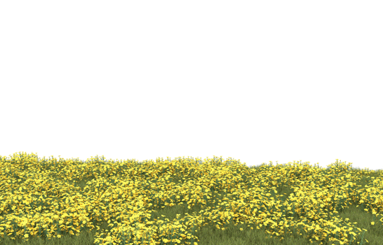 Realistic foliage isolated on transparent background. 3d rendering - illustration png