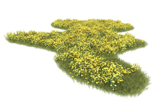 Realistic foliage isolated on transparent background. 3d rendering - illustration png