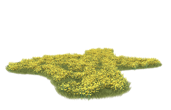 Realistic foliage isolated on transparent background. 3d rendering - illustration png