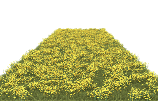 Realistic foliage isolated on transparent background. 3d rendering - illustration png