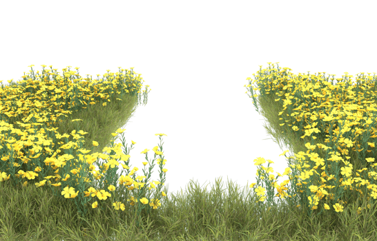 Realistic foliage isolated on transparent background. 3d rendering - illustration png