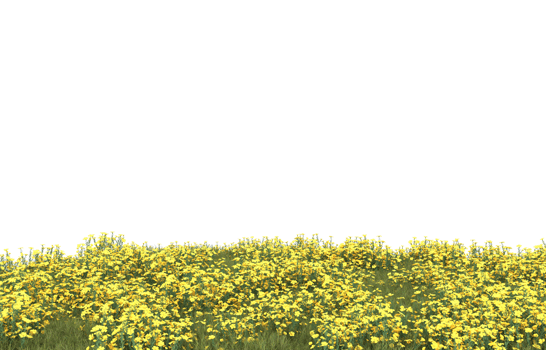 Realistic foliage isolated on transparent background. 3d rendering - illustration png