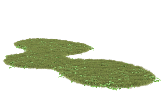 Realistic foliage isolated on transparent background. 3d rendering - illustration png