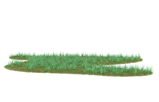 Realistic foliage isolated on transparent background. 3d rendering - illustration png