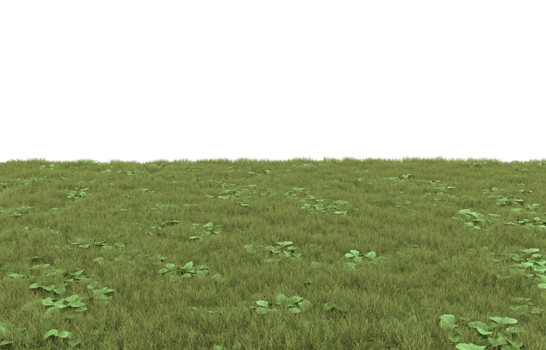Realistic foliage isolated on transparent background. 3d rendering - illustration png
