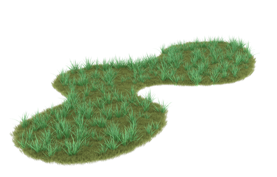 Realistic foliage isolated on transparent background. 3d rendering - illustration png