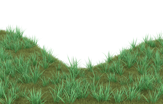 Realistic foliage isolated on transparent background. 3d rendering - illustration png