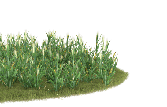 Realistic foliage isolated on transparent background. 3d rendering - illustration png