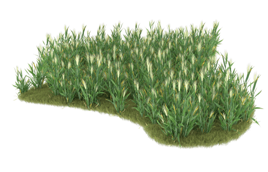 Realistic foliage isolated on transparent background. 3d rendering - illustration png