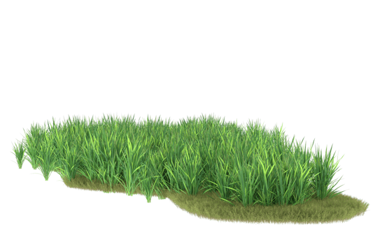 Realistic foliage isolated on transparent background. 3d rendering - illustration png