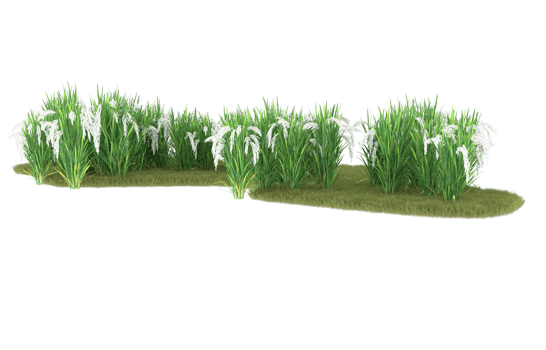 Realistic foliage isolated on transparent background. 3d rendering - illustration png