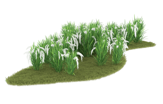 Realistic foliage isolated on transparent background. 3d rendering - illustration png