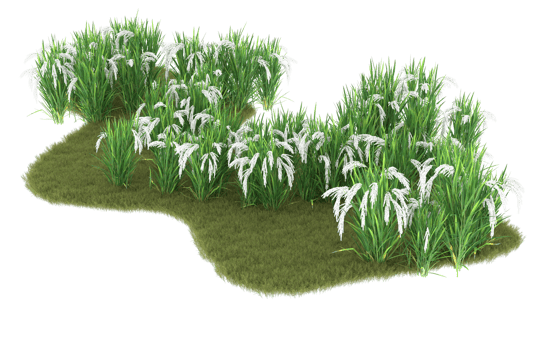 Realistic foliage isolated on transparent background. 3d rendering - illustration png