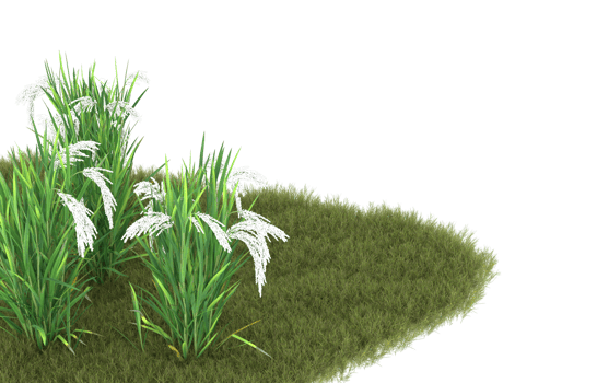 Realistic foliage isolated on transparent background. 3d rendering - illustration png
