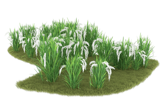 Realistic foliage isolated on transparent background. 3d rendering - illustration png