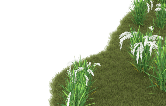 Realistic foliage isolated on transparent background. 3d rendering - illustration png