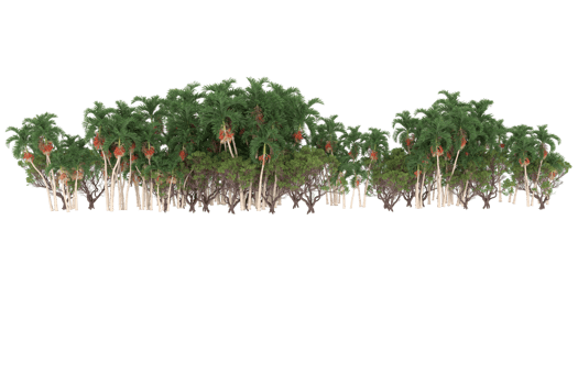Palm trees isolated on transparent background. 3d rendering - illustration png