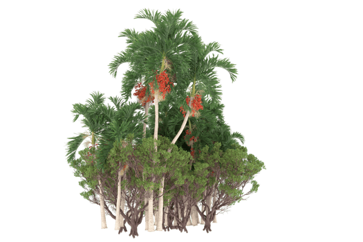 Palm trees isolated on transparent background. 3d rendering - illustration png