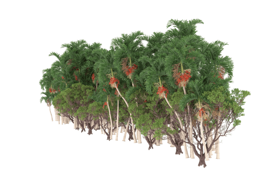 Palm trees isolated on transparent background. 3d rendering - illustration png