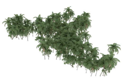 Palm trees isolated on transparent background. 3d rendering - illustration png