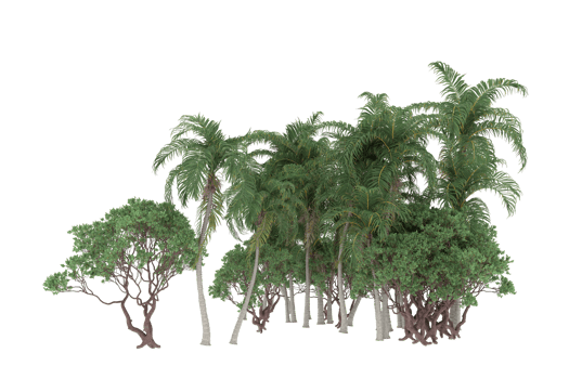 Palm trees isolated on transparent background. 3d rendering - illustration png