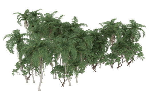 Palm trees isolated on transparent background. 3d rendering - illustration png