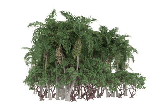 Palm trees isolated on transparent background. 3d rendering - illustration png