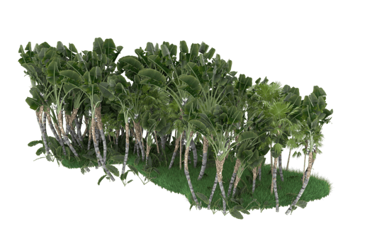 Palm trees isolated on transparent background. 3d rendering - illustration png